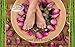 Dr. Soles Pure Essential Oil Foot Pads: 100% All Natural Organic Reflexology 2-in-1 Aromatherapy Premium Foot Care Alternative Pain Relief & Sleep Aid (32 Pack)