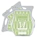 Scentsy White Tea & Cactus Wax Bar 3-Pack