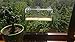 Birdcraft Large Window Bird Feeder with Removable Tray and 3 Suction Cups