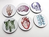 color round Anatomy Coasters 3.5 inch neoprene graduation medical doctor nurse skull brain hand anatomical heart
