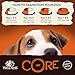 Wellness CORE Natural Wet Grain Free Canned Dog Food, Turkey, Pork & Duck, 12.5-Ounce Can (Pack of 12)