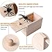 Feeke Spider Prank Scare Box，Handmade Fun Practical Joke Boxes for Halloween Party Favors and Decoration