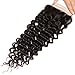 Beauty Forever Brazilian Deep Wave Hair Closure 100% Unprocessed Human Hair Deep Wave 4x4 Free Part Lace Closure Can be Dyed and Bleached (12’’ closure)