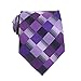 Secdtie Men's Classic Checks Purple Grey Jacquard Woven Silk Tie Necktie