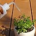 Safety Wash Bottle Squeeze Bottle LDPE with Narrow Mouth 250ml/8.5oz, Pack of 6 by DEPEPE