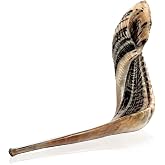 Holy Voice Kosher Shofar from Israel, 12"-14", Half-Polished Ram's Horn | Smooth Mouthpiece for Easy Blowing, Clear Sound, Rosh Hashanah Decoration, Unique Holy Land Gift, Original and Authentic