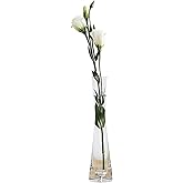 Hand Blown Glass Bud Vase Single Stem Flower Vase Clear Small Glass Vase for Office Desk Home Decor Wedding Centerpiece Table Decorations