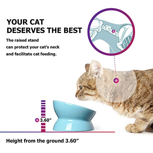Y YHY Elevated Cat Food Bowl, Ceramic Raised Cat Bowl, Tilt Angle