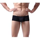 Gogobear Men's Ice Silk Underwear Breathable Bulge Pouch Low Waist Boxer Briefs Classics Comfortable Athletic Underpants