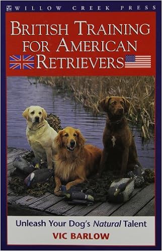 british retriever