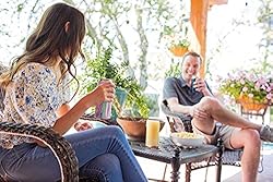 Simple Modern Skinny Can Cooler for Slim Beer and