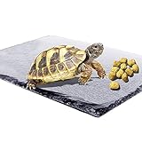 Reptile Basking Platform Tortoise Rock Plate Turtle