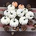 COTOSEY 12PCS Artificial White Pumpkins for Wedding Halloween Fall Thanksgiving Table Decorating (10 Pcs White)