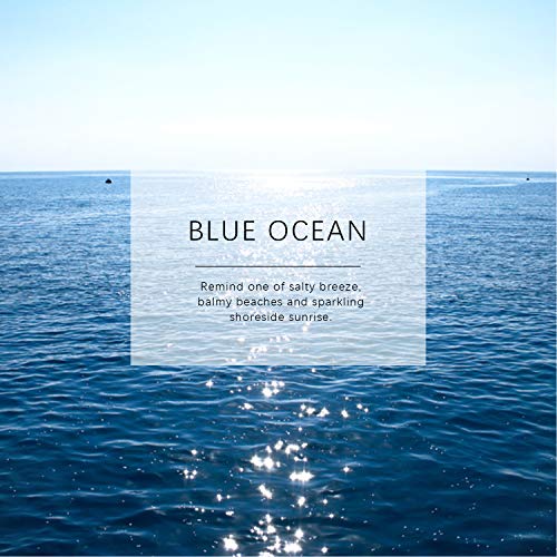 ESSLUX Home Fragrance, Reed Diffuser Set Premium Quality for Home and Office, Air Freshener & Home Decor & Ideal Gift-Blue Ocean