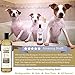 4Legger All Natural Organic Oatmeal Dog Shampoo for Itchy Skin with Aloe, Coconut & Lavender Essential Oil, Hypoallergenic, Moisturizing for Normal, Dry, Itchy, or Sensitive Skin, USA Made, 16 oz