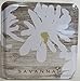 Modern Floral Tin from Byrd Cookie Company (Flower Benne Wafers)