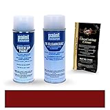 PAINTSCRATCH Touch Up Paint Spray Can Car Scratch