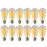 Vintage Edison Bulb KINGSO Dimmable 60W Edison Light Bulb Squirrel Cage Filament Incandescent Antique Light Bulb E27 E26 Base ST64 110V - 12 Pack
