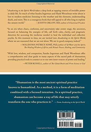 Awakening to the Spirit World: The Shamanic Path of Direct Revelation