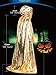 MEYKISS Adults Cape Halloween Costume Deluxe Cloak Silver