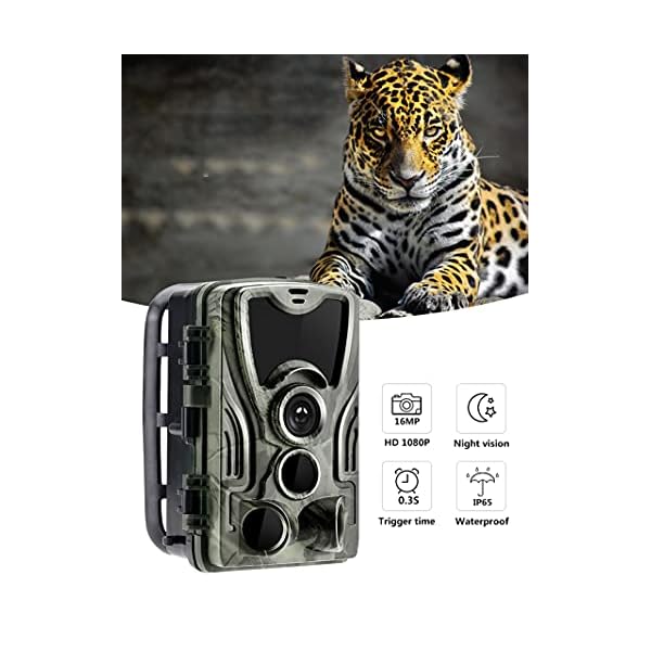 1800Mah 9V Solarpanel Tragbare Mit 4G Wildkamera Jagdkamera Nachtsicht Und 32GB SD Card 16MP 1080P 0,3S Bewegungsmelder… – Bild 8