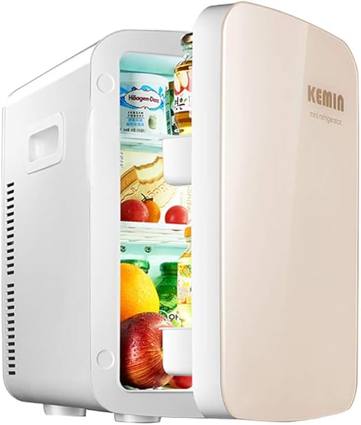 small portable refrigerator for car