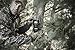 Wildgame Innovations TX10i1-8 Terra Extreme Camera, 10 MP, Black