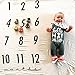 Baby Bandana Drool Bibs for Drooling and Teething (6-Pack) BG Mini - I LOVE MILK & Gray Unisex Organic Cotton Perfect Bibs - 100% Absorbent Babies & Toddlers - Shower Gift