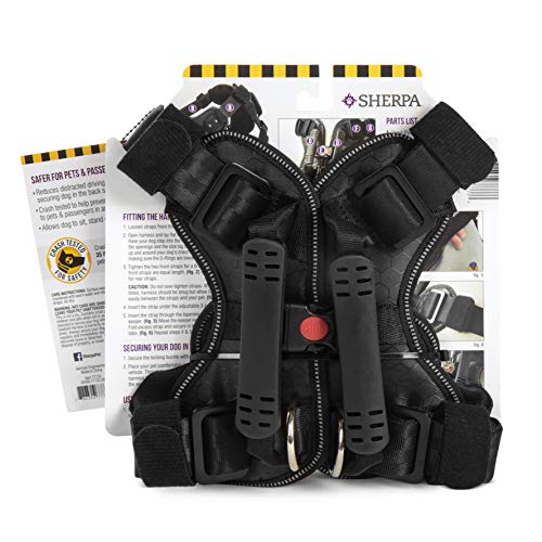 Sherpa crash tested seatbelt safety harness Clearance