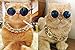 Coolrunner Funny Pet Sunglasses and Cool Plated Gold Chain Necklace (15” x0.39”) with Adjustable Length for Cats/Small Dogs Fashion Costume-Taking Pictures (8 CM Sunglasses)