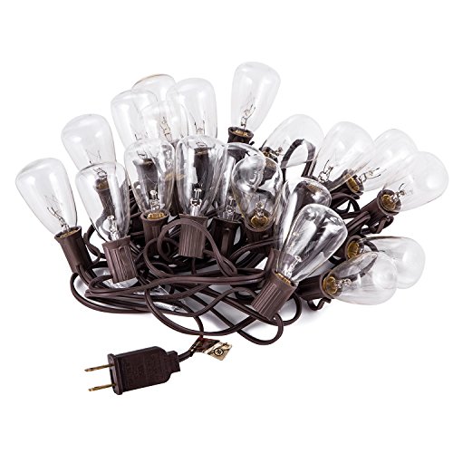 image for MYHH-LITES 20ft Outdoor Patio String lights with 21 ST35 Edison Bulbs(