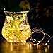 Ihomy Solar Powered String Lights, 33ft 100 LEDs Waterproof Fairy Lights, Outdoor/Indoor Starry Copper Wire Lights, Decoration Lights for Gardens, Home, Wedding, Party, Christmas