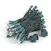 Novelty Lights 34 Feet 100 Bulbs Traditional Incandescent Mini Lights, Clear on Green Wire with 4