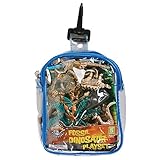 Dinosaur Fossil Set