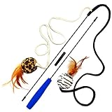 Pet Fit For Life 2 Ball Feather Teaser and Exerciser For Cat and Kitten - Cat Toy Interactive Cat Wand