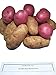 Potatoes Fresh Idaho Russet and Red Produce Bundle