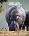 2019 - 2020 | 18 Month Weekly & Monthly Planner July 2019 to December 2020: Hippopotamus Animal Natu by Dazzle Book Press