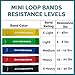 Premium Resistance Loop Bands (set of 5) Exercise Band Set for Workouts, Resistance Training & Physical Therapy Routines.