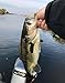 Alabama Rig Umbrella for Bass Fishing Kit with Willow Bladed Spin Jig Heads Freshwater Salwater Trout Stripers Lures 3 Arms