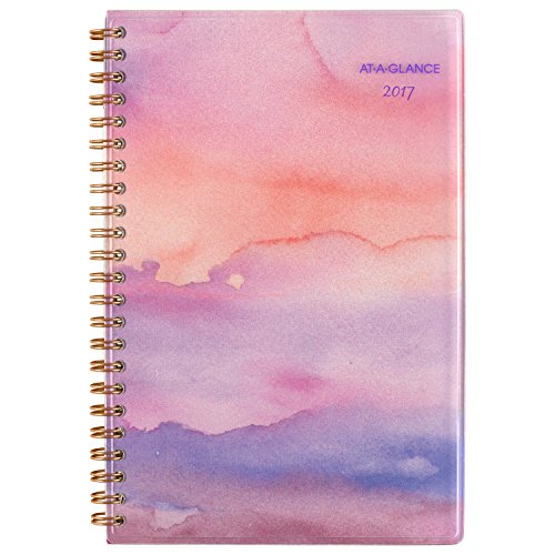 At-a-glance weekly / monthly planner / appointment book…