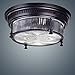 Ecopower Vintage Oil Rubbed Bronze Metal Glass Ceiling Light Fixture
