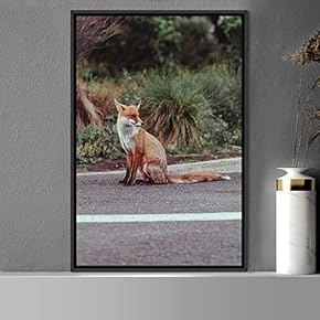 signwin Framed Canvas Wall Art Red Fox Animals...