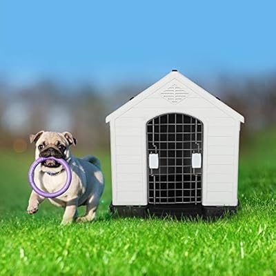 outdoor dog house with door