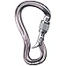 Black Diamond Gridlock Screwgate Carabiner