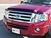 WESTIN Wade 72-97146 Smoke Tint Platinum Bug Shield