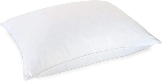 Amazon Com Luxury White Eddie Bauer Hypoallergenic 10 90 Goose