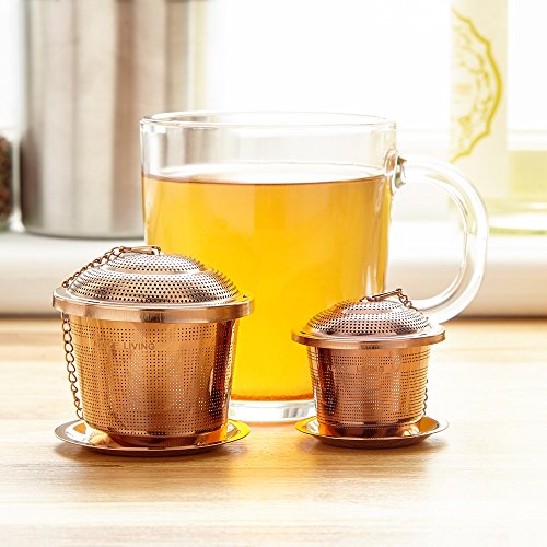 Loose Leaf Tea Infuser (Set of 2) with Tea Scoop and Drip Dray by Apace - Ultra Fine Stainless Steel Strainer & Steeper for a Superior Brewing Experience
