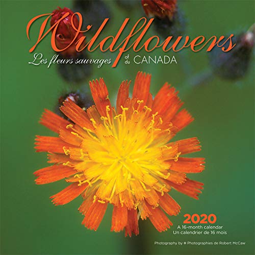 [Best] Wildflowers of Canada 2020 12 x 12 Inch Monthly Square Wall Calendar, Flower Outdoor Plant D.O.C