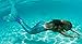 Fin Fun Mermaid Tail Only, Reinforced Tips, Monofin NOT Included, Aussie Green, Youth 8