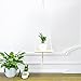 Plant Hanger (Square),YXMYH Macrame Plant Hanger Shelf Hanging Planter Home Decor Cotton Cord and Pine Shelf -BOHO Bohemian Home Decor 43 Inches